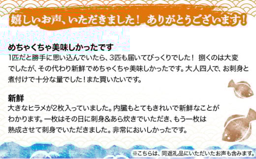 肉厚だからヒラメの味がよくわかる