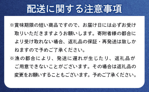 【6月上旬〜8月中旬発送予定】北海道産 塩水ウニ 100g