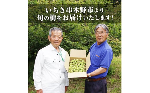 朝日梅園の池之上さんと内田さんが愛情込めて育てました。