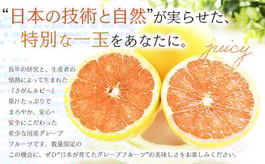 数量限定 リピーター続出 グレープフルーツ「さがんルビー」 約