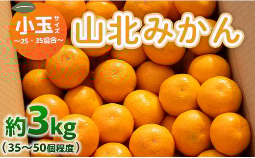 山北みかん 小玉サイズ(2S,3Sサイズ) 3kg 約35～50個入り 甘い - 果物 フルーツ 柑橘類 温州みかん ミカン 蜜柑 甘い おいしい 美味しい 山北みらい 高知県 香南市 yk-0048 1367372 - 高知県香南市
