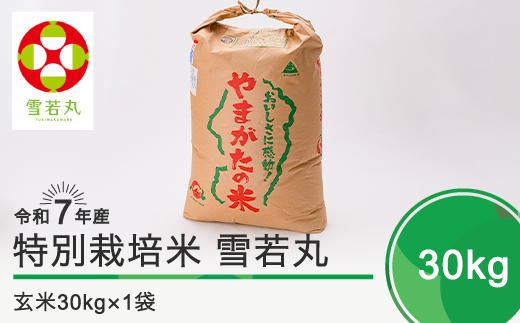 新米 米 令和7年12月下旬発送 雪若丸30kg 玄米 令和7年産 ja-yugxa30-12s 403301 - 山形県大石田町