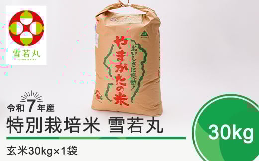 新米 米 令和8年1月下旬発送 雪若丸30kg 玄米 令和7年産 ja-yugxa30-1s 403303 - 山形県大石田町