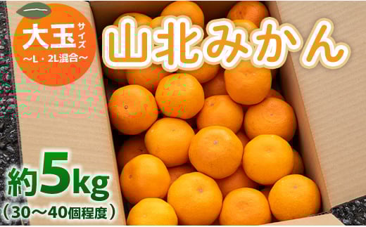 山北みかん 大玉サイズ L・2L混合 約5kg（30～40個程度） 山北みらい - 果物 フルーツ 柑橘類 温州みかん ミカン 蜜柑 甘い おいしい 美味しい 高知県 香南市 yk-0045 1146065 - 高知県香南市