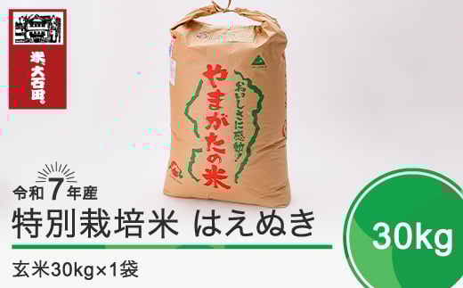 新米 米 令和8年2月上旬発送 はえぬき30kg 玄米 令和7年産 ja-hagxa30-2f 402821 - 山形県大石田町