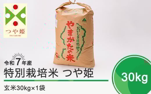 新米 米 令和7年12月下旬発送 つや姫30kg 玄米 令和7年産 ja-tsgxa30-12s 402983 - 山形県大石田町