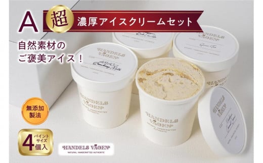 A:ハンデルスベーゲン無添加アイスクリーム/お得なパーティーセット！パイントサイズ４個入り（マダガスカルリッチバニラ・マカダミアキャラメルココナッツ・京都宇治抹茶・ベリーバイベリー）パーティー 家族 大容量 バニラ キャラメル 抹茶 ベリー ヨーグルト