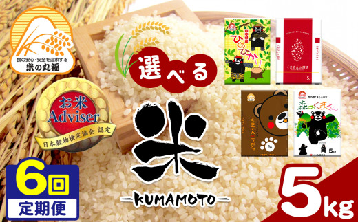 【定期便6回】 熊本県産森のくまさん 5kg×6回 | 米 こめ お米 おこめ 白米 精米 定期 定期便 熊本県 玉名市