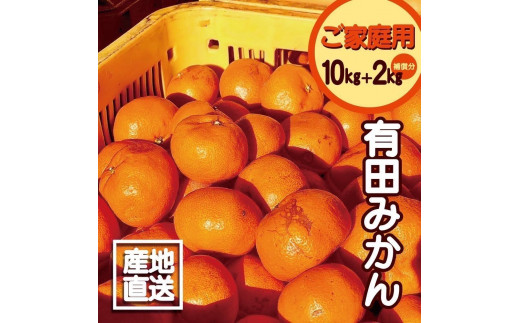【訳あり】有田みかん 10kg＋2kg 保証分 2S～3Lサイズ混合
