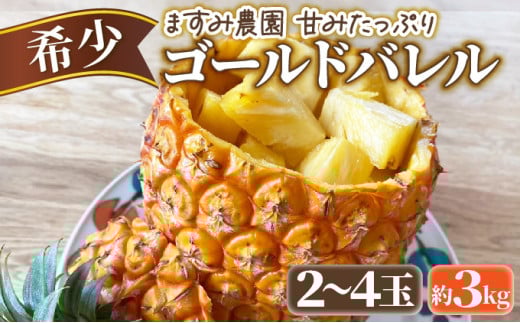 2025年 先行予約 パイン ゴールドバレル 約3kg 2〜4玉 ますみ農園 甘み たっぷり パイナップル 果物 フルーツ