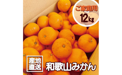 【訳あり】和歌山みかん約11kg+補償分約1kg サイズ混合 11月より順次発送 訳ありみかん 【red2】 1467995 - 和歌山県海南市