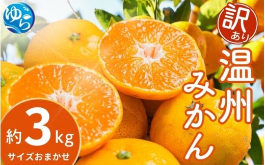 【先行予約】【訳あり】温州みかん 約3kg (サイズおまかせ)【2025年12月中旬から順次発送予定】※北海道・沖縄・離島配送不可 / ミカン 蜜柑 フルーツ ワケあり 果物 柑橘 果実 由良町 国産 産地直送 和歌山県【eiw016】