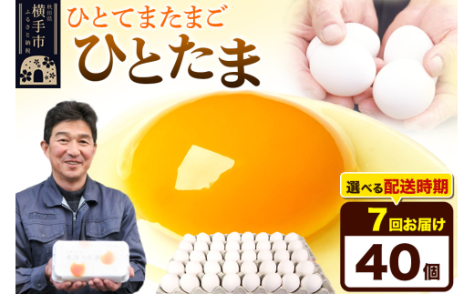 【常温発送】《定期便7ヶ月》ひとたま 40個(業務用)【発送時期が選べる】東海林養鶏場 ひとたま 卵 玉子 たまご タマゴ 7か月 7ヵ月 7カ月 7ケ月 開始時期選べる 1801231 - 秋田県横手市