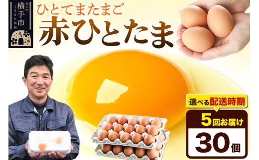 【常温発送】《定期便5ヶ月》赤ひとたま 30個(業務用)【発送時期が選べる】東海林養鶏場 赤ひとたま 卵 玉子 たまご タマゴ 5か月 5ヵ月 5カ月 5ケ月 開始時期選べる 1801240 - 秋田県横手市