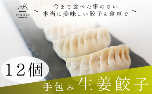 手包み生姜餃子Sパック　12個入り