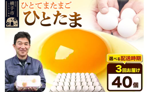 【常温発送】《定期便3ヶ月》ひとたま 40個(業務用)【発送時期が選べる】東海林養鶏場 ひとたま 卵 玉子 たまご タマゴ 3か月 3ヵ月 3カ月 3ケ月 開始時期選べる 1801227 - 秋田県横手市