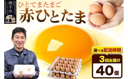 【常温発送】《定期便3ヶ月》赤ひとたま 40個(業務用)【発送時期が選べる】東海林養鶏場 赤ひとたま 卵 玉子 たまご タマゴ 3か月 3ヵ月 3カ月 3ケ月 開始時期選べる 1801249 - 秋田県横手市
