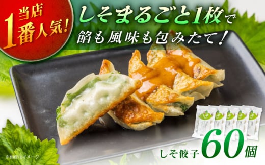 【5パック】餃子屋ヒロの 人気のしそ餃子【餃子屋ヒロ】開成町 餃子 点心 惣菜 冷凍 [BDAS003-3] 2077563 - 神奈川県開成町