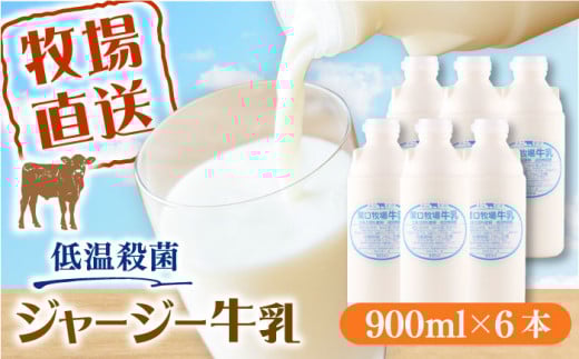 低温殺菌牛乳 ジャージー牛乳 牛乳 人気 6本セット【よこすか関口牧場】 [AKGN002] 1767189 - 神奈川県横須賀市