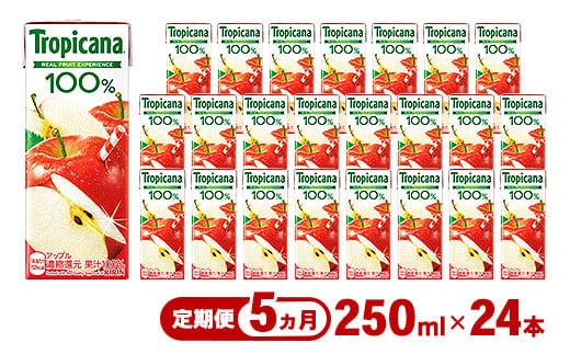 【定期便5ヶ月】トロピカーナ 100％ アップル 250ml LLスリム×24本 ※離島への配送不可