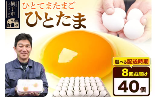 【常温発送】《定期便8ヶ月》ひとたま 40個(業務用)【発送時期が選べる】東海林養鶏場 ひとたま 卵 玉子 たまご タマゴ 8か月 8ヵ月 8カ月 8ケ月 開始時期選べる 1801232 - 秋田県横手市