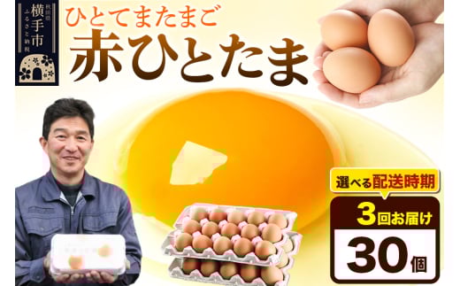 【常温発送】《定期便3ヶ月》赤ひとたま 30個(業務用)【発送時期が選べる】東海林養鶏場 赤ひとたま 卵 玉子 たまご タマゴ 3か月 3ヵ月 3カ月 3ケ月 開始時期選べる 1801238 - 秋田県横手市