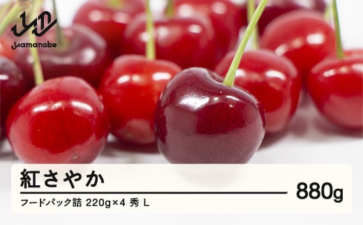 《先行予約》2025年 山形県産 さくらんぼ 紅さやか フードパック詰 880g(220g×4) 秀 L 2025年6月上旬から順次発送  F20A-003 254805 - 山形県山辺町