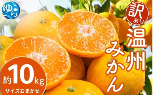 【先行予約】【訳あり】温州みかん 約10kg（サイズおまかせ）【2025年12月中旬から順次発送予定】※北海道・沖縄・離島配送不可 / ミカン 蜜柑 フルーツ ワケあり 果物 柑橘 果実 由良町 国産 産地直送 和歌山県【eiw018】