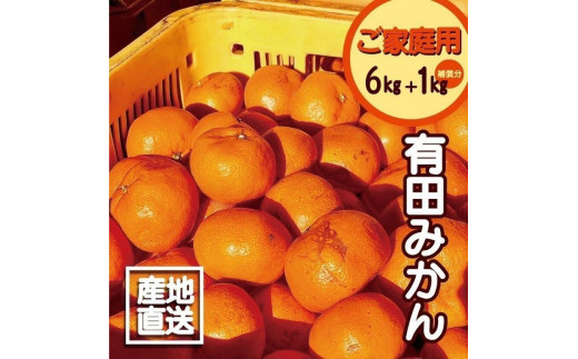 【訳あり】有田みかん 6kg＋1kg 保証分 2S～3Lサイズ混合