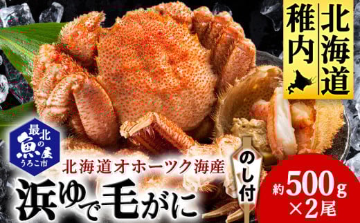 <のし付き>北海道オホーツク海産 浜ゆで毛がに 約500g×2尾 1758986 - 北海道稚内市