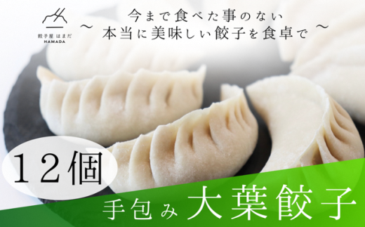 手包み大葉餃子Sパック　12個入り