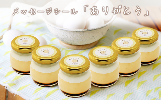 CocoRoプリン6個セット（ギフト包装＋メッセージシール「ありがとう」）【 茨城県 つくば市 プリン スイーツ 生クリーム カスタードクリーム バニラ 牛乳 卵 国産 甘味 お菓子 デザート ギフト 】 2092235 - 茨城県つくば市