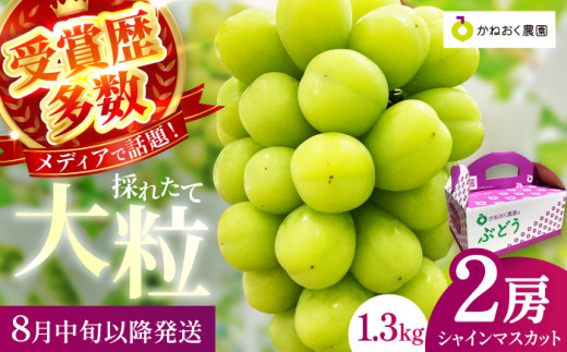【2025年発送 先行予約】読売テレビ・毎日放送も取材に!数量限定シャインマスカット 1.3kg｜産地直送 大粒 完熟 期間限定 ぶどう フルーツ 果物 先行予約 種なし 旬 家庭用 プレゼント 柏原市	 1312652 - 大阪府柏原市