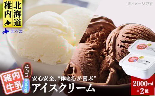 <業務用>稚内牛乳アイスクリーム2000ml宗谷の塩×チョコ2個セット 679963 - 北海道稚内市