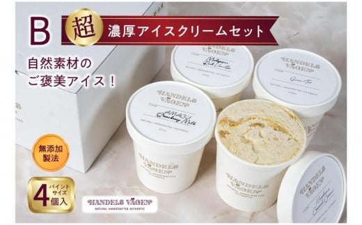 B:ハンデルスベーゲン無添加アイスクリーム/お得なパーティーセット！パイントサイズ４個入り（マダガスカルリッチバニラ・マカダミアキャラメルココナッツ・あまおう苺ミルク・北海道牛乳）パーティー 家族 大容量 バニラ マカダミアナッツ キャラメル あまおう 北海道牛乳