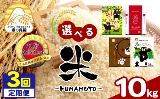 【定期便3回】熊本県産 ひのひかり 10kg×3回 | 米 こめ お米 おこめ 白米 精米 定期 定期便 熊本県 玉名市 322664 - 熊本県玉名市