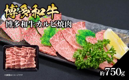 博多和牛 カルビ焼肉 約750g 肉 お肉 博多和牛 和牛 牛肉 カルビ バラ 国産 3～5人前 冷凍 冷凍配送 使い切りサイズ 霜降り 絶品 濃厚 柔らかい ジューシー 焼肉 家族団らん 大容量 福岡県 八女市 505895 - 福岡県八女市