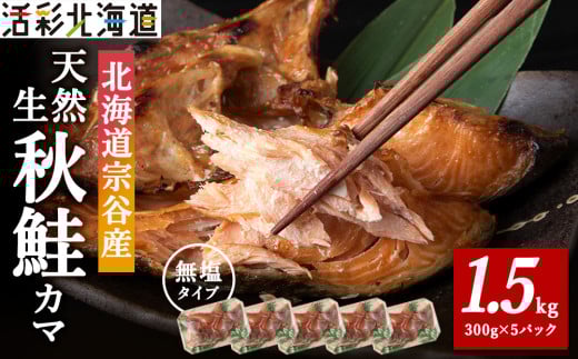 北海道産 天然生秋鮭 カマ 1.5kg (300g × 5個) 無塩蔵品 1431578 - 北海道稚内市
