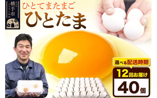 【常温発送】《定期便12ヶ月》ひとたま 40個(業務用)【発送時期が選べる】東海林養鶏場 ひとたま 卵 玉子 たまご タマゴ 12か月 12ヵ月 12カ月 12ケ月 開始時期選べる 1801236 - 秋田県横手市
