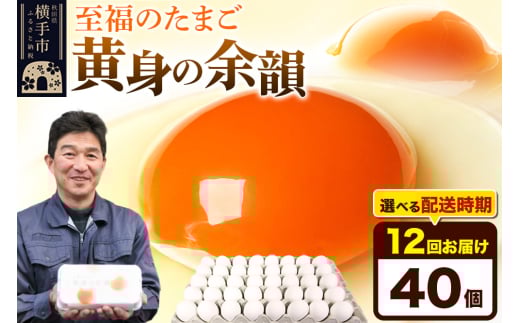 【常温発送】《定期便12ヶ月》黄身の余韻 40個(業務用)【発送時期が選べる】東海林養鶏場 黄身の余韻 卵 玉子 たまご タマゴ 12か月 12ヵ月 12カ月 12ケ月 開始時期選べる 1801225 - 秋田県横手市