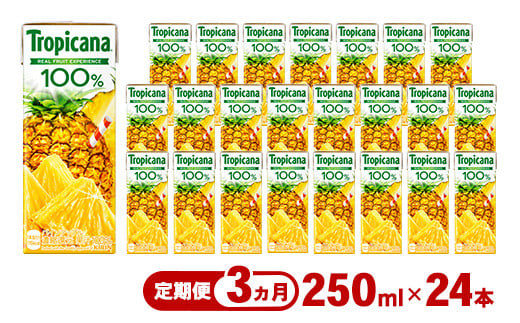 【定期便3ヶ月】トロピカーナ 100％ パインアップル 250ml LLスリム×24本 ※離島への配送不可