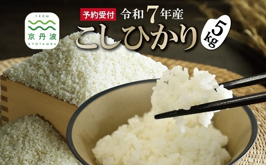 《新米先行予約》 こしひかり 和知のお米 5kg 京都 丹波 京丹波町産 米 コメ コシヒカリ 精米 産地直送 ※北海道・沖縄・その他離島は配送不可 [014MTK001]