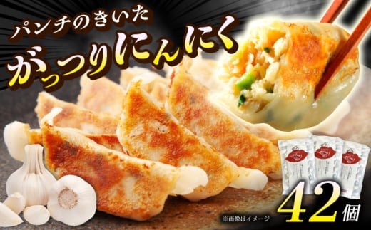 【3パック】餃子屋ヒロの がっつりにんにく餃子【餃子屋ヒロ】開成町 餃子 点心 惣菜 冷凍 [BDAS004-2] 2077566 - 神奈川県開成町