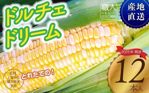 2025年6月上旬発送【朝採り】とうもろこし　ドルチェドリーム　12本入り 杉山農園（山梨県市川三郷町産）[5839-2181]