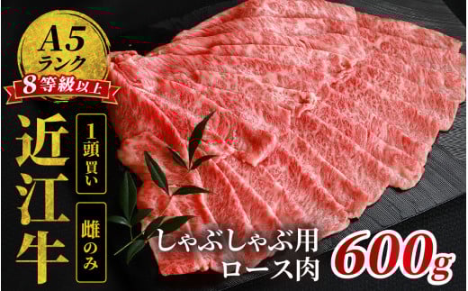 近江牛「かど萬」しゃぶしゃぶ用ロース肉 約600g 1426252 - 滋賀県大津市