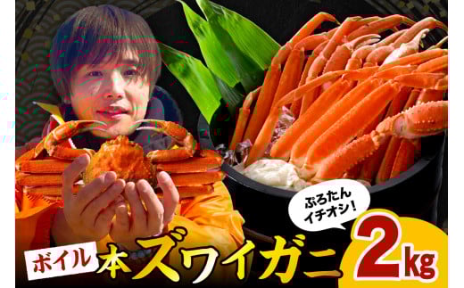 本ズワイガニ6肩〜9肩(約2kg)[er018-045]