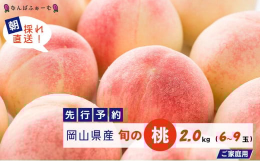 【2025年先行予約】［なんばふぁーむ］岡山県産 旬の桃 2.0kg（6～9玉）［ご家庭用］
