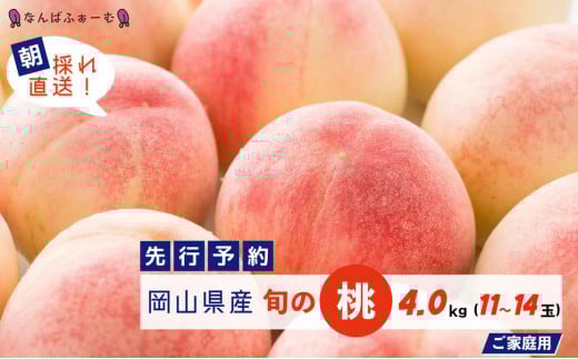 【2025年先行予約】［なんばふぁーむ］岡山県産 旬の桃 4.0kg（11～14玉）［ご家庭用］