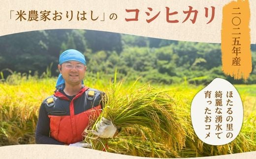 広島県竹原市のふるさと納税 【先行予約】お米 コシヒカリ 精米 10kg ●｜おにぎり 竹原市 小梨町 お米農家 おりはし　【 広島県産 白米 名水 甘み おむすび ご飯 】※2025年9月頃より順次発送予定