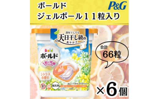 ボールド洗濯洗剤ジェルボール4D 心弾けるシトラス&ヴァーべナの香り11粒入り×6個(合計66粒)【1610088】 2087817 - 群馬県藤岡市
